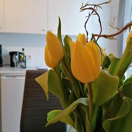 Urlaub Beim Schmied * Ostseebad Kühlungsborn