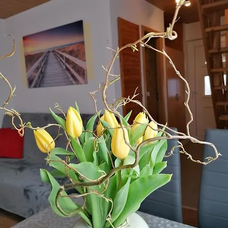 Urlaub Beim Schmied * Ostseebad Kühlungsborn