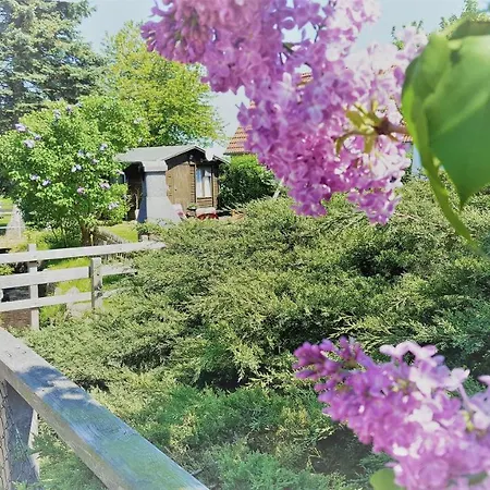 Urlaub Beim Schmied Lejlighed *