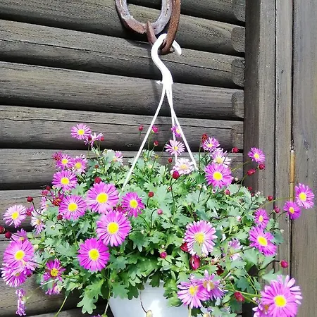 Urlaub Beim Schmied *