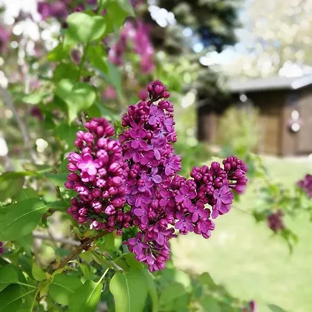 アパート Urlaub Beim Schmied *