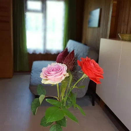 Urlaub Beim Schmied * Ostseebad Kühlungsborn