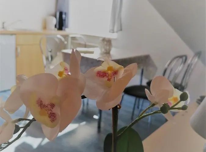 Urlaub Beim Schmied *