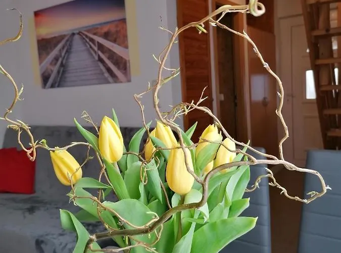 Urlaub Beim Schmied * Ostseebad Kühlungsborn