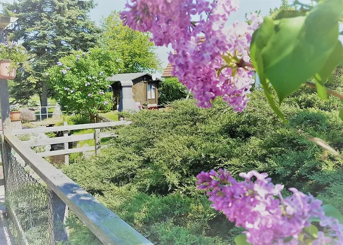 Urlaub Beim Schmied Appartement *