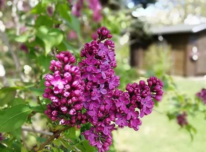 Appartement Urlaub Beim Schmied *