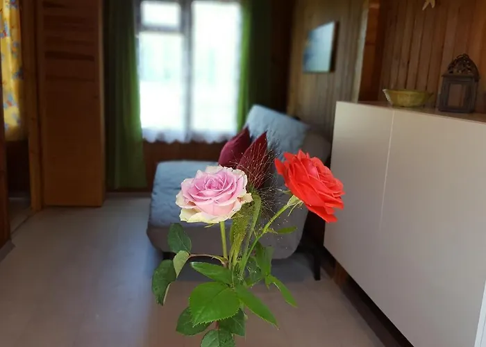 Urlaub Beim Schmied * Ostseebad Kühlungsborn